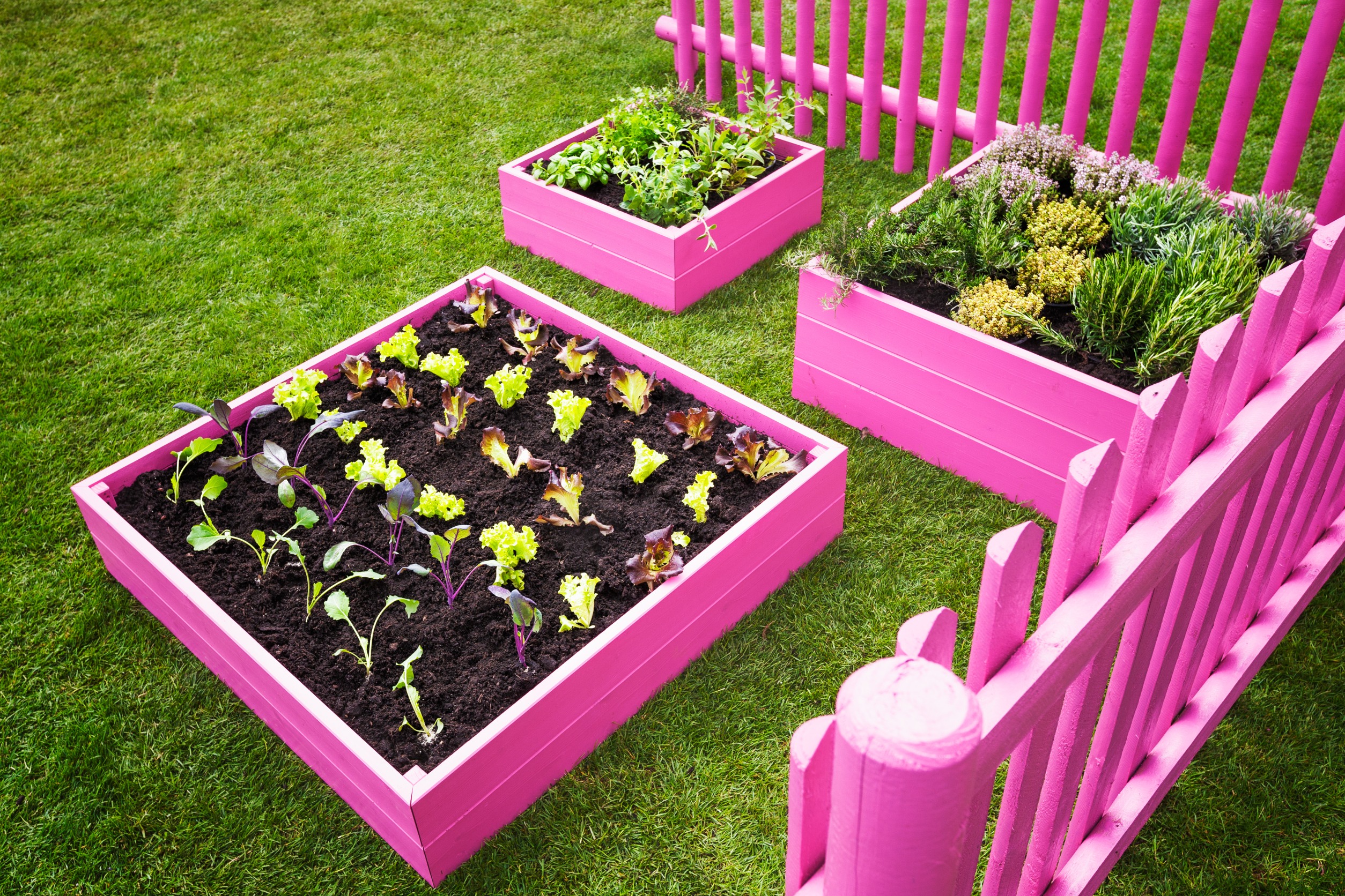 Raised Garden Beds