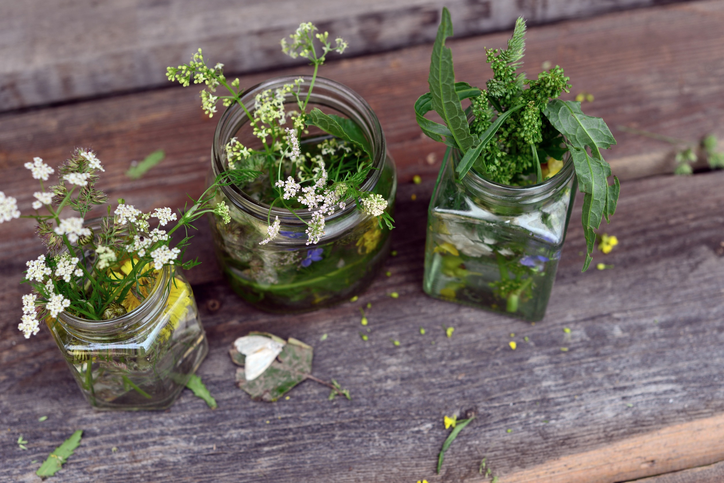 Use Household Items as Garden Tools and Decor