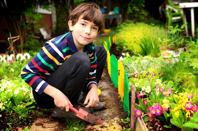 young gardener