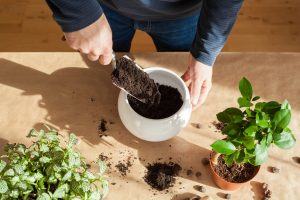 best soil for container gardening