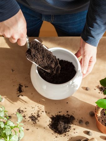 best soil for container gardening