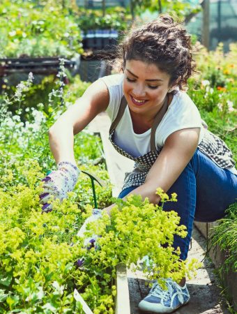 gardening