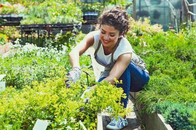 gardening