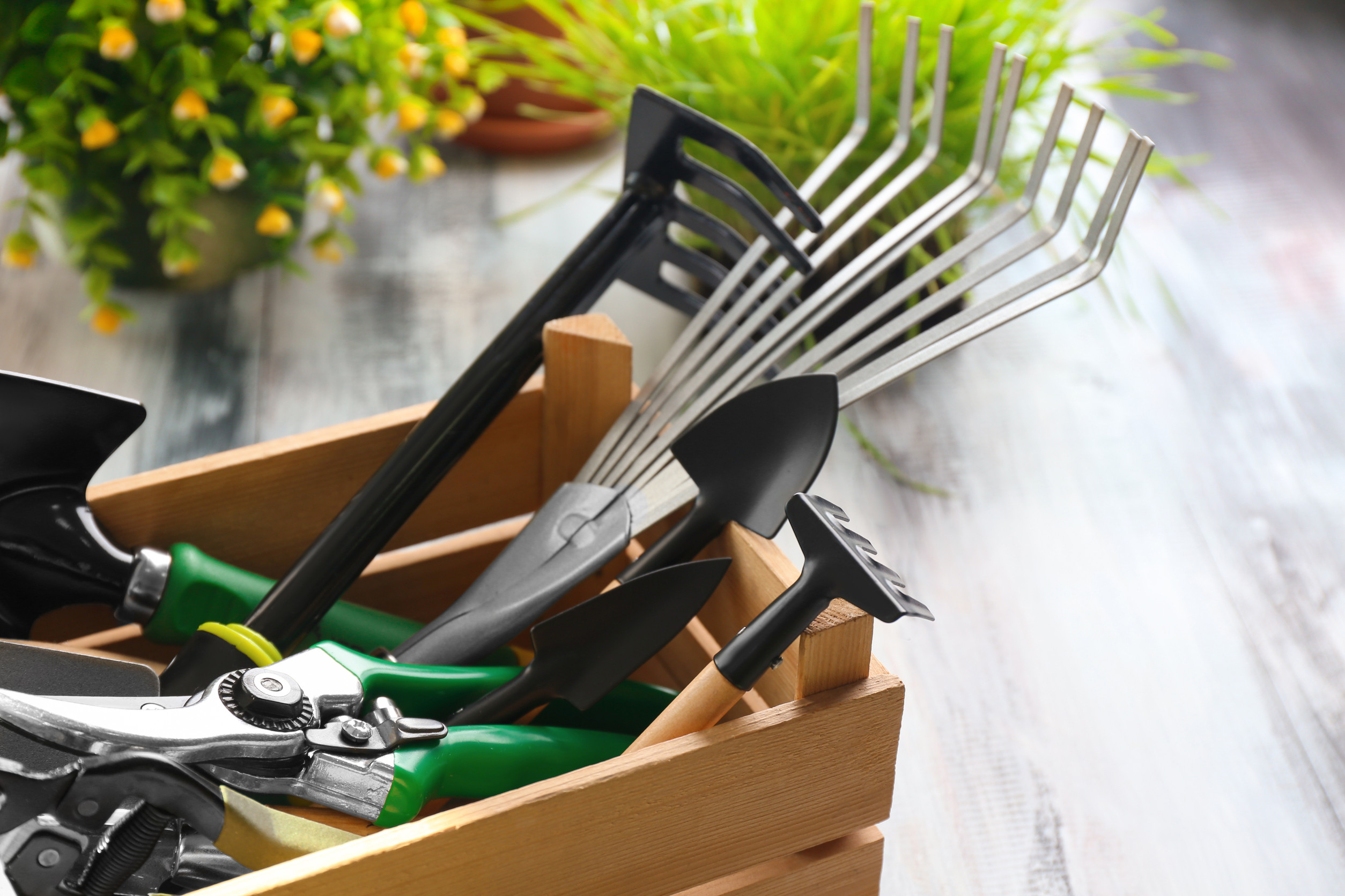 gardening tools