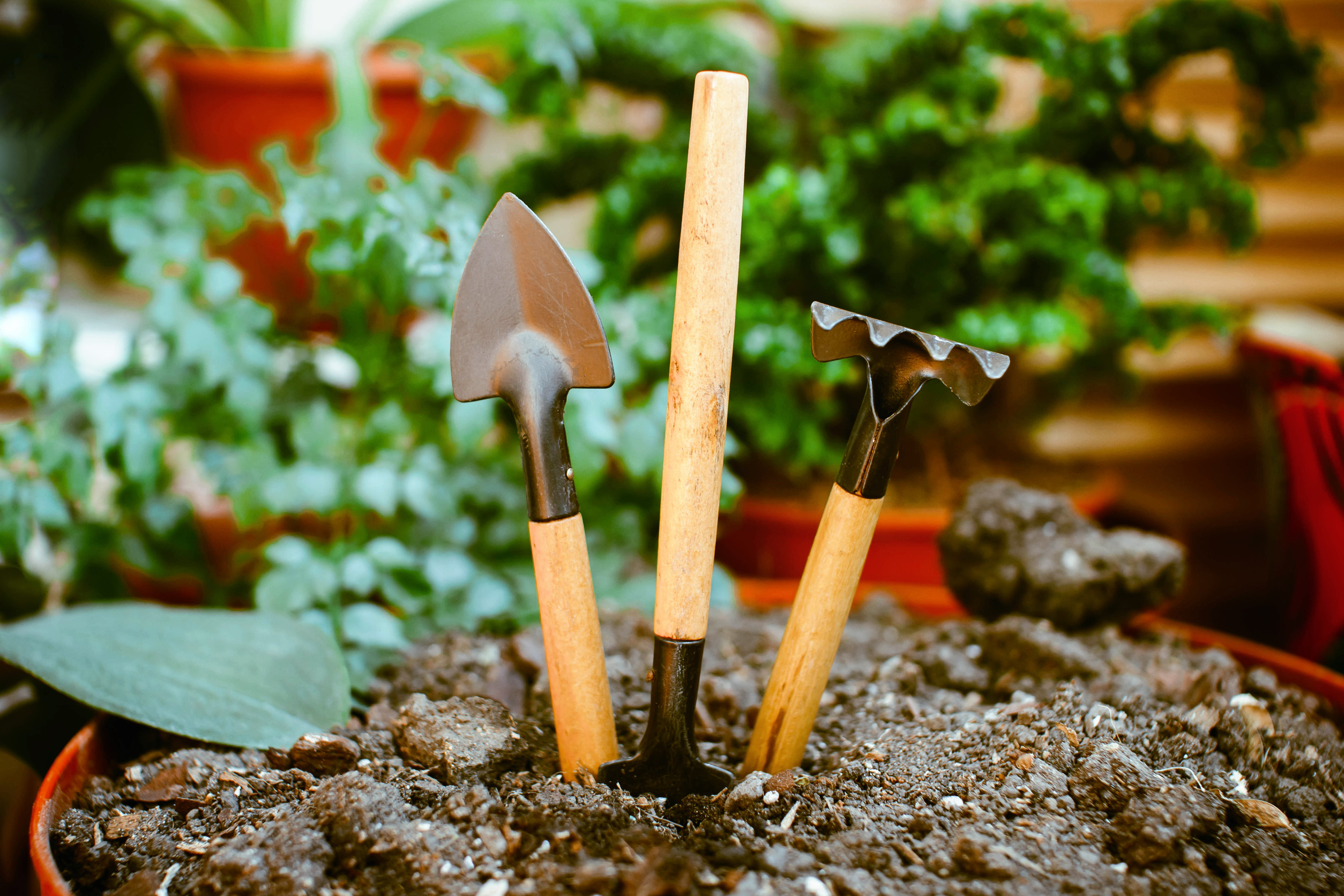 gardening tools