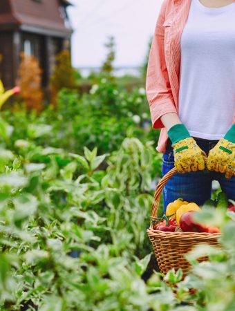 market garden