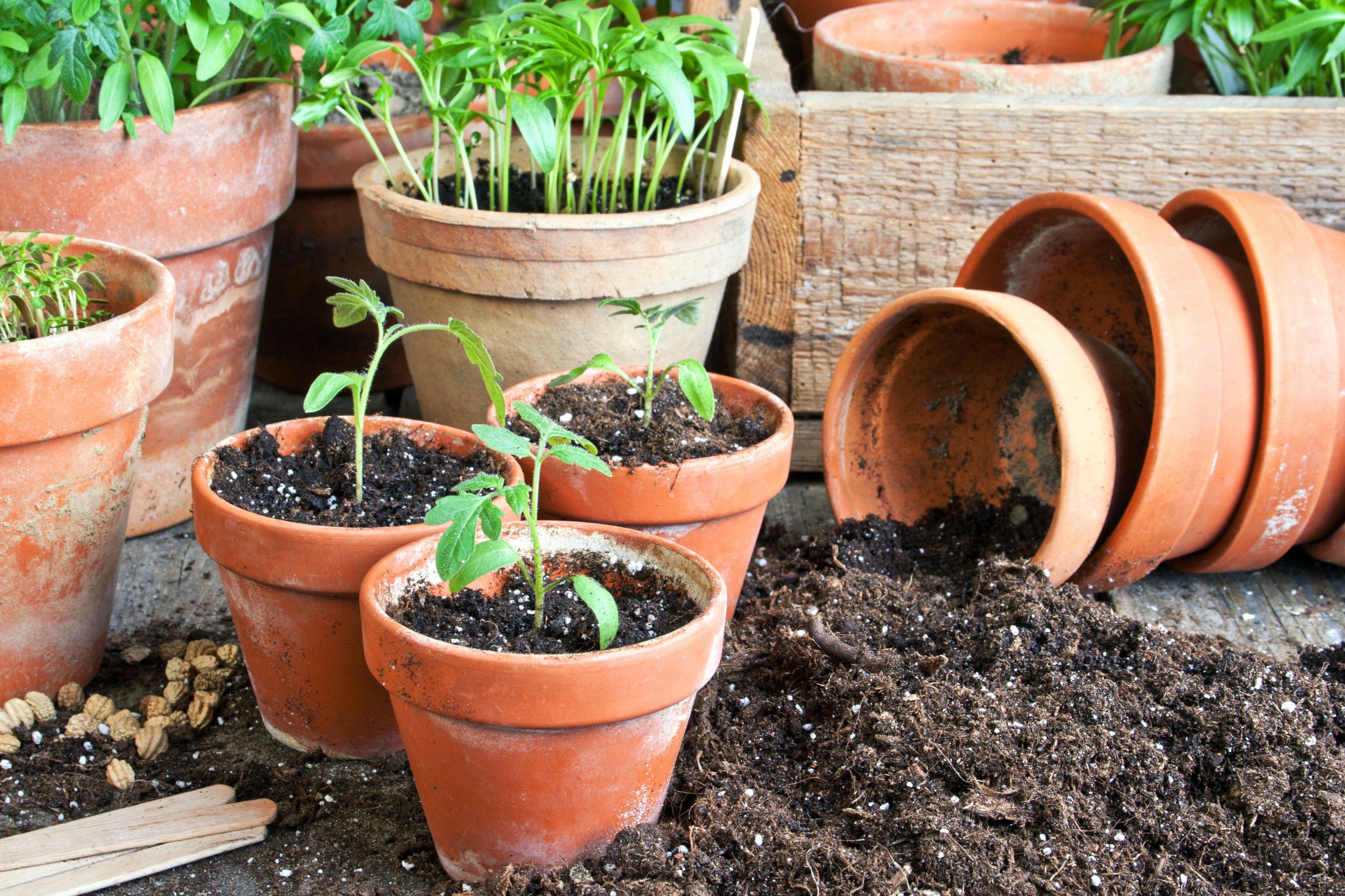 pots and soil