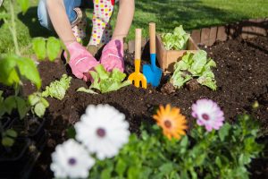 sustainable garden