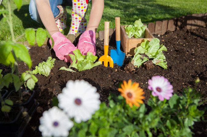 sustainable garden