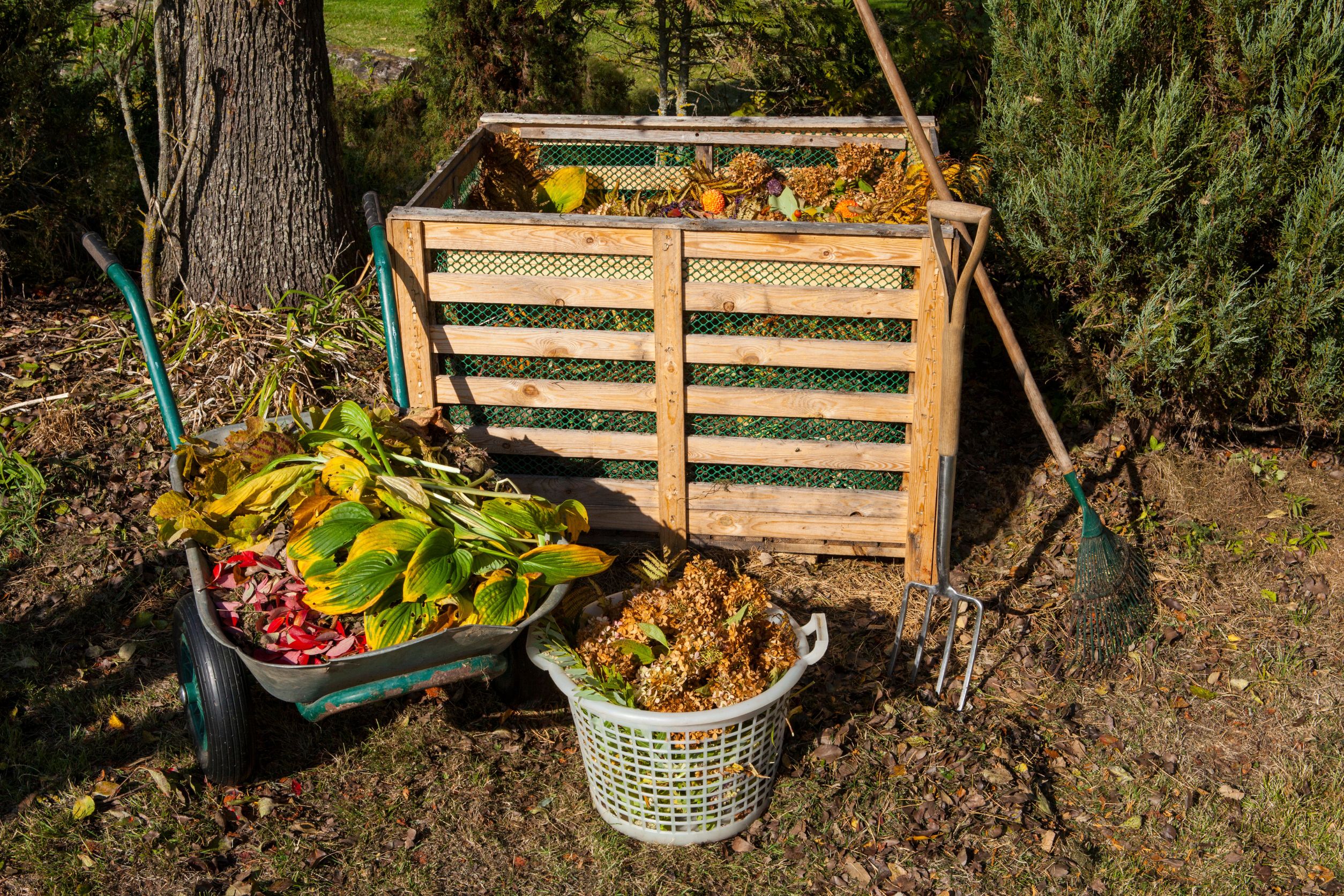 compost bin