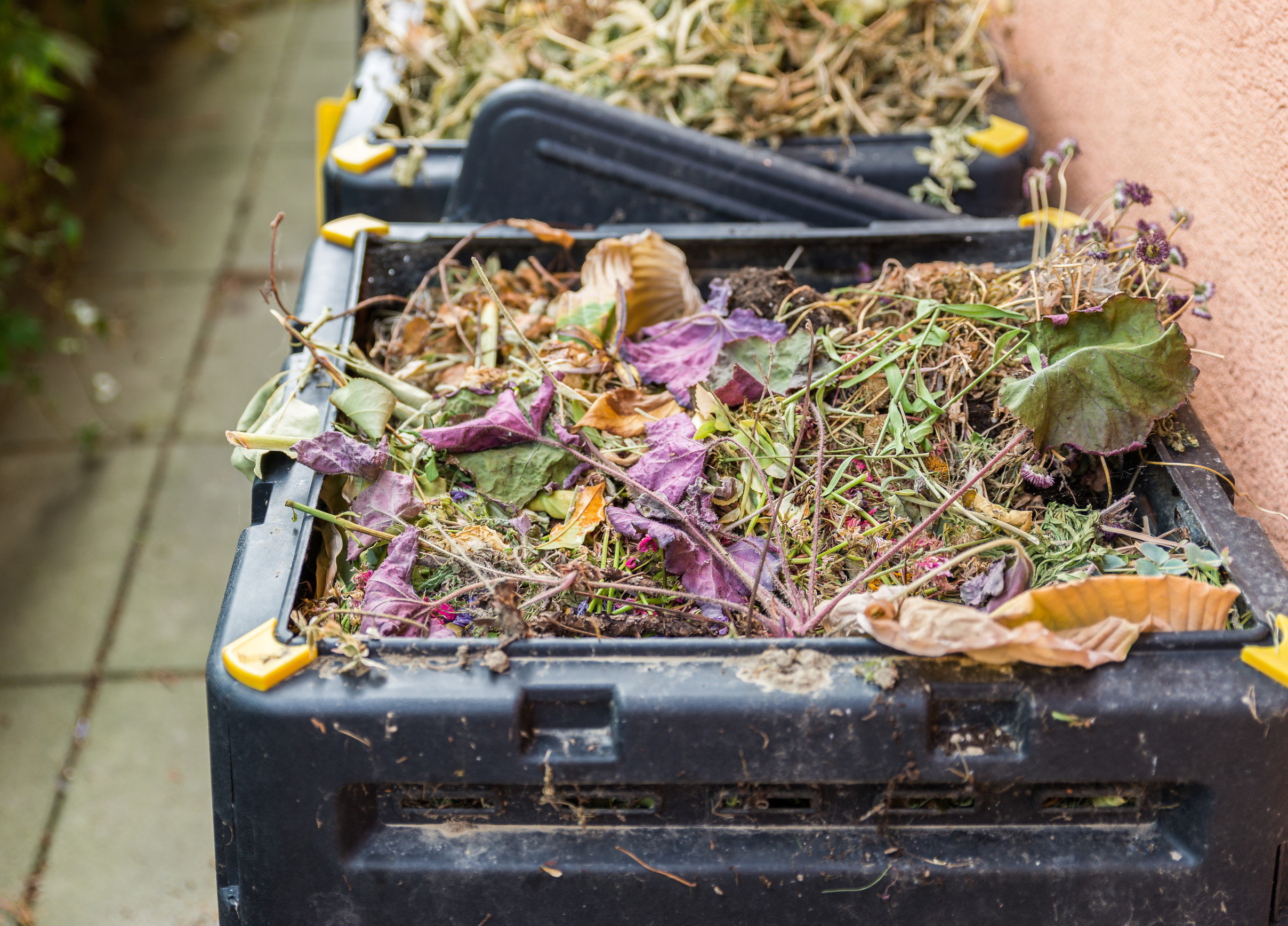 compost bin