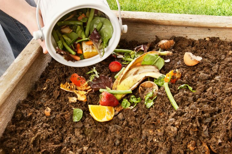 diy compost bin outdoor