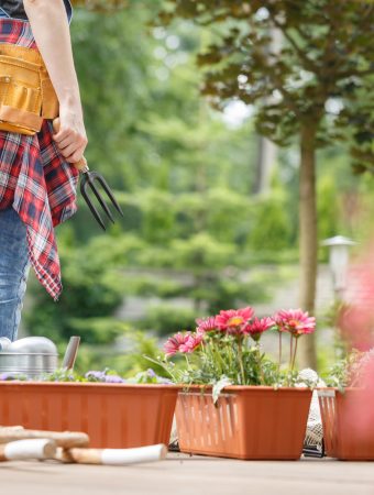 repurpose plastic containers