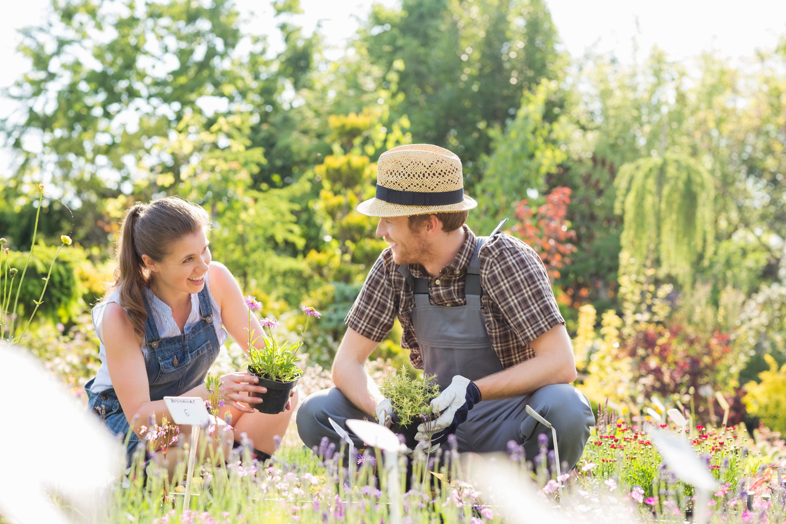 Swap Tools with Fellow Gardeners